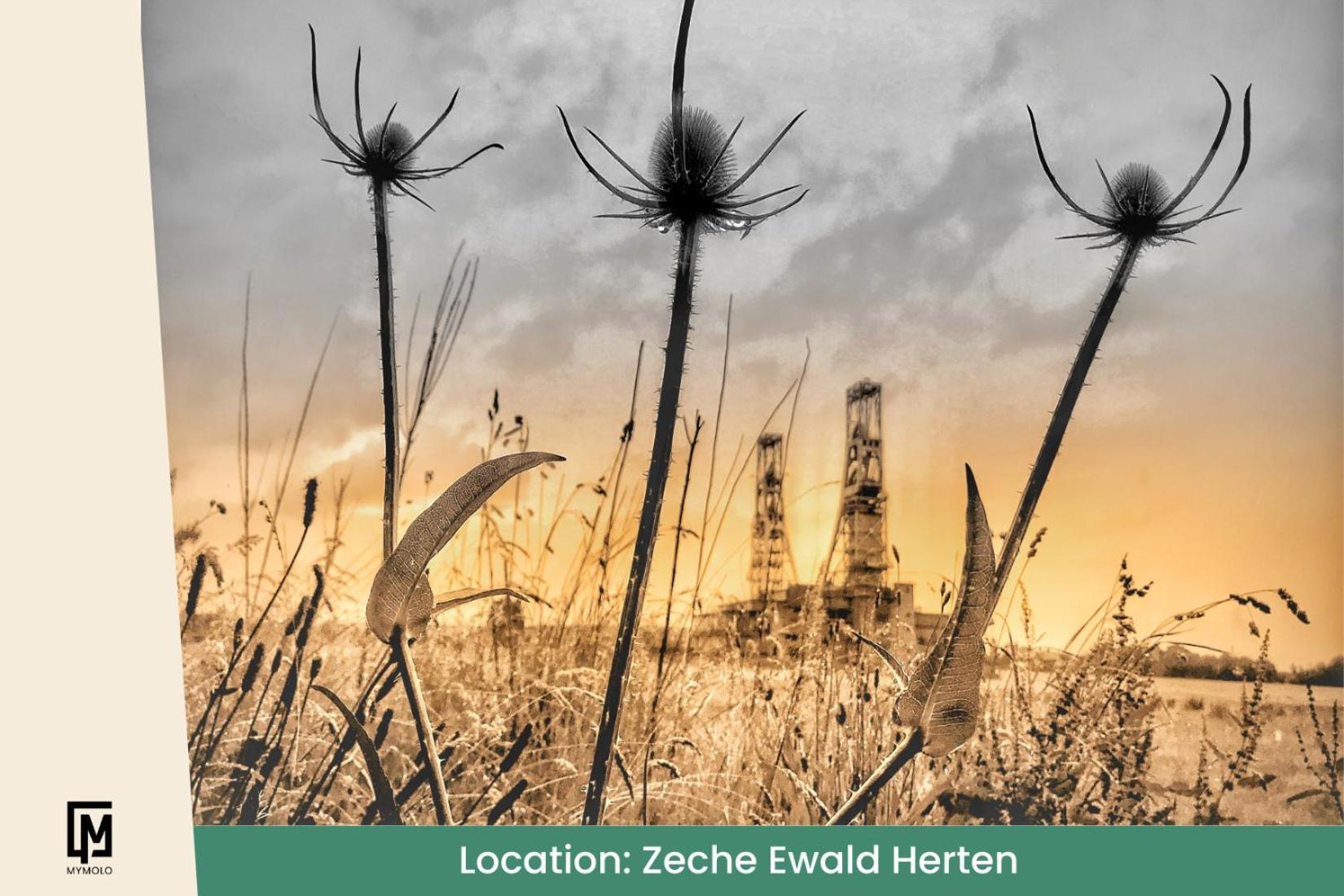 Glamping In Der Zeche Ewald Herten Herten  Dış mekan fotoğraf